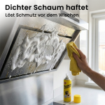 CleanLift_Gallery 2